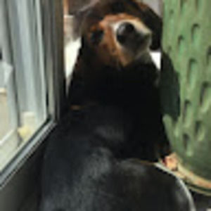 Meet your Posher, Bron2210